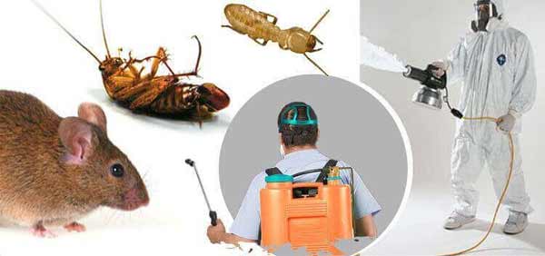 Benefits of using pesticides for controlling the insects