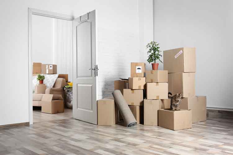 What you Should Know Before Moving