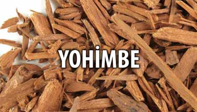 Yohimbe-a-Lacys-Reset