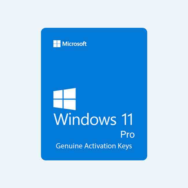 How To Secure Your Windows 11 Product Keys 3863