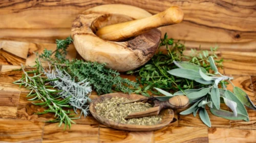 What Are Plant Protein Extracts and Why Are They Revolutionizing Modern Nutrition