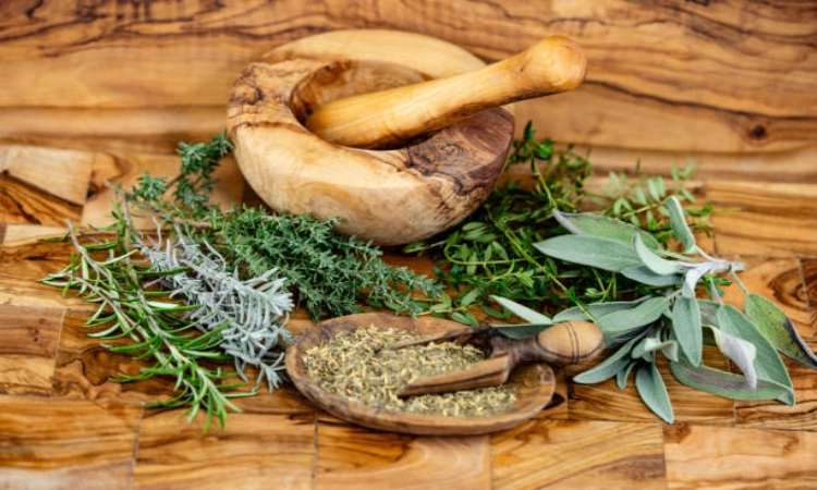 What Are Plant Protein Extracts and Why Are They Revolutionizing Modern Nutrition