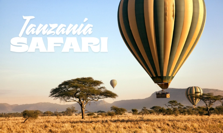 What to Pack for a Safari in Tanzania